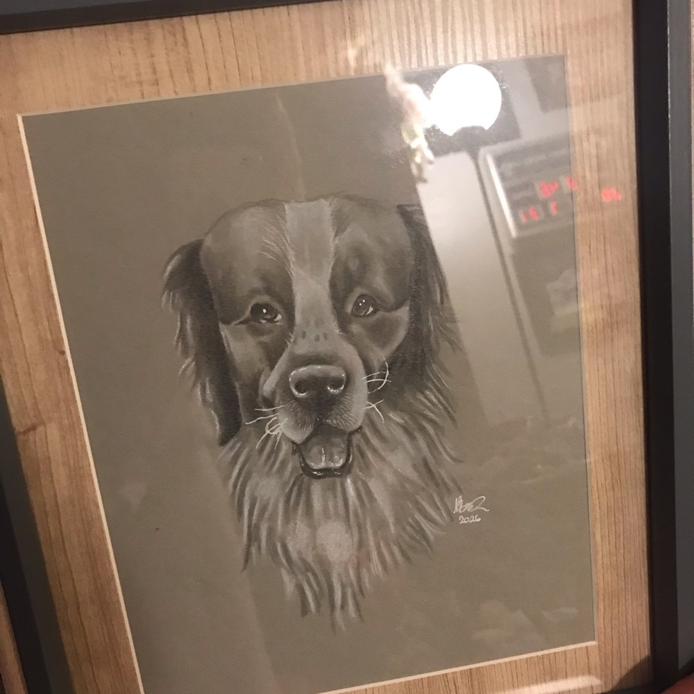 Custom Pet Portrait - Picture 2 of 3